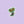 Load image into Gallery viewer, EYE DAISIES Sticker
