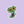 Load image into Gallery viewer, EYE DAISIES Sticker