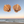 Load image into Gallery viewer, CLAMS Earrings