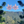 Load image into Gallery viewer, WEED Earrings