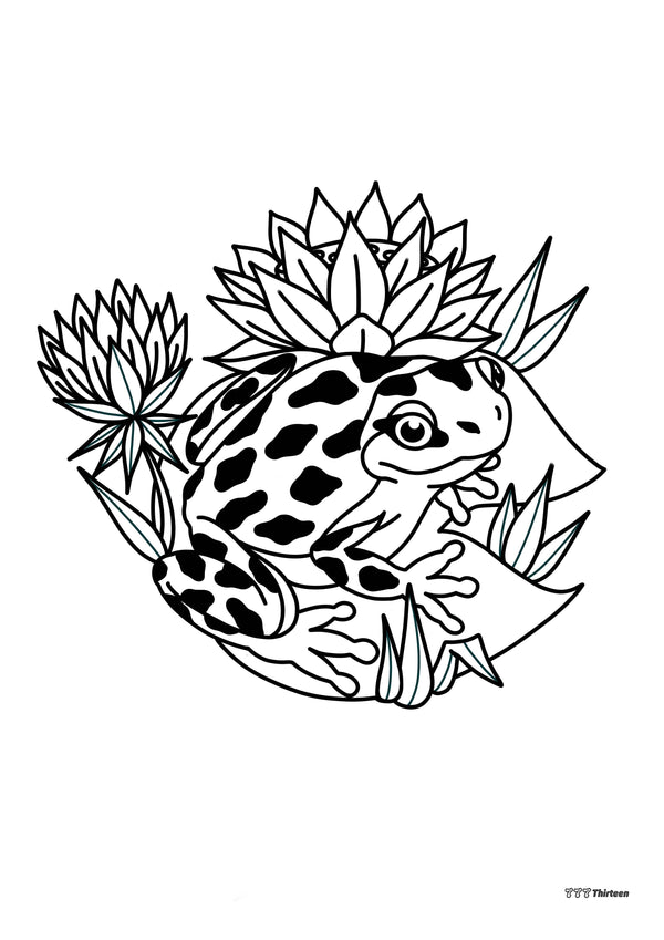 FROG & LILIES Colouring Sheet